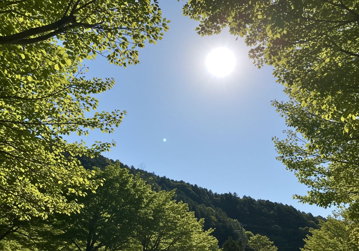 今日はあついですね。_resized.jpg